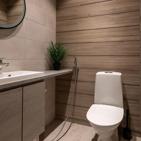 In Lapland - Snowlife B *